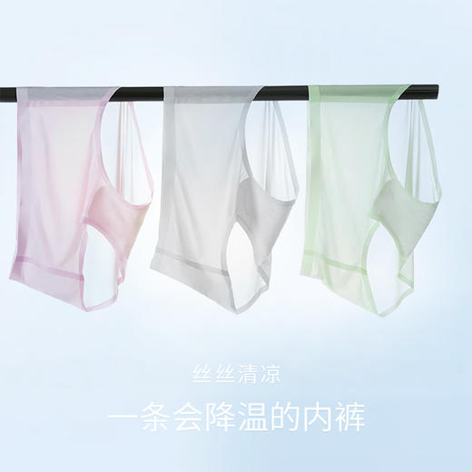 【3条装】康妮雅女式三角裤*3条装 商品图1