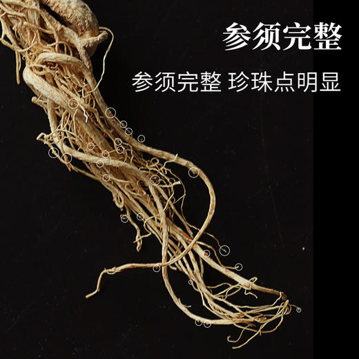 【自营】边条干参120g 商品图3