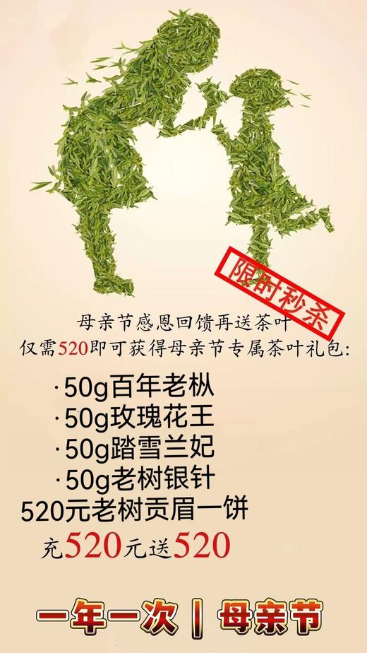 母亲节活动（买520送520） 商品图0