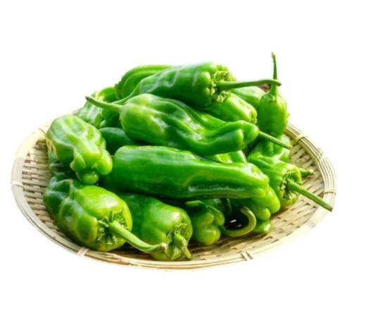 薄皮青椒  约500g±50g  【BC】【DN】 商品图0