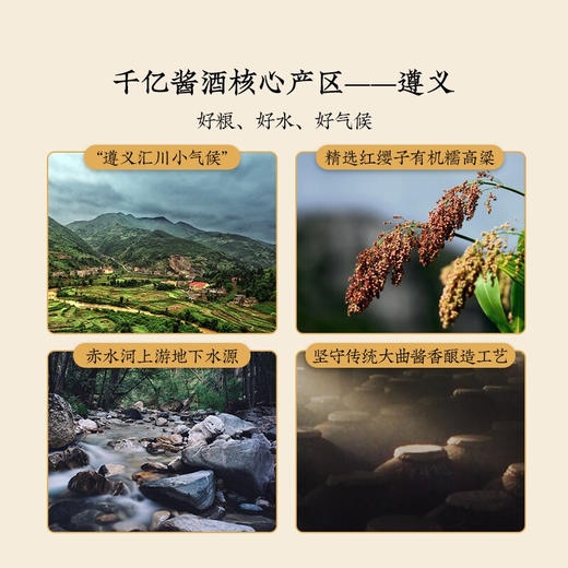 【自营】珍酒 珍十五 酱香型白酒 53度 500ml 酒中珍品 珍藏酱香 商务送礼 6瓶整箱装 商品图5