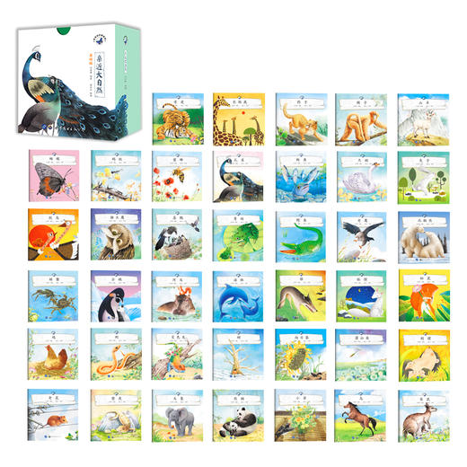 亲近大自然（全40册）2岁+ 40种动植物  开启孩子阅读大自然的奇妙之旅 商品图3