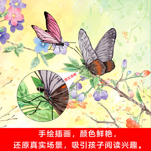 亲近大自然（全40册）2岁+ 40种动植物  开启孩子阅读大自然的奇妙之旅 商品图8