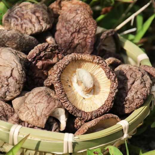 [最农公社]福建古田农家香菇生态种植香菇干货无根香菇冬菇肉厚新货 商品图4