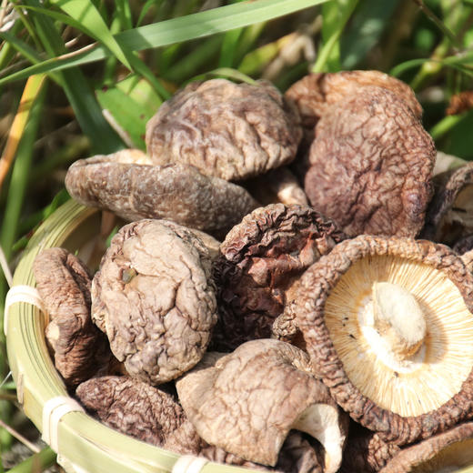 [最农公社]福建古田农家香菇生态种植香菇干货无根香菇冬菇肉厚新货 商品图1