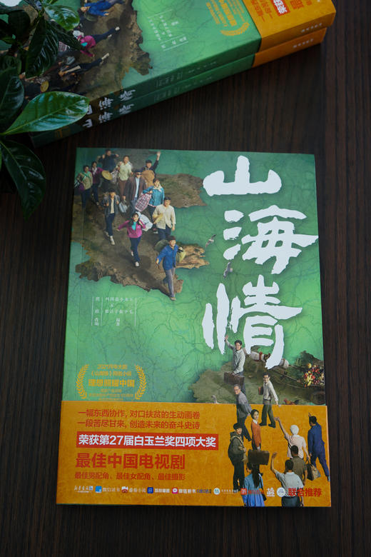 山海情 商品图0