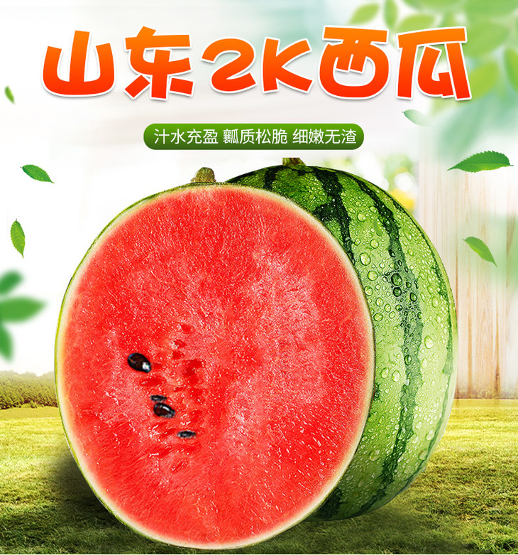 山东2K西瓜_01.jpg