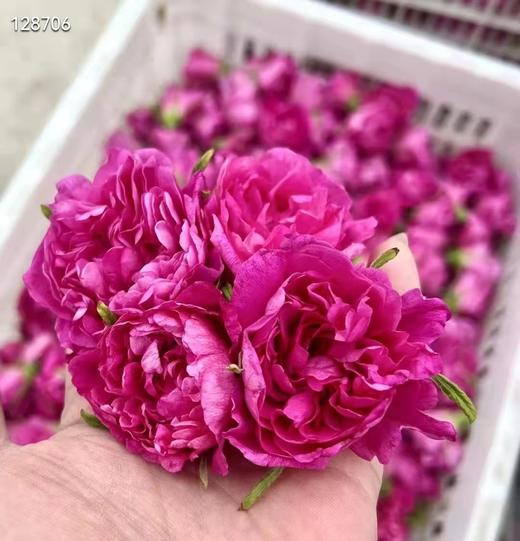 二店7f 好评回购款！美容养颜，国标GB开头玫瑰花c 商品图4