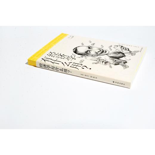 (仓发) 经济学有什么用？/日常人文课/译林出版社/[英]泰吉万·帕丁格/9787544787680 商品图2