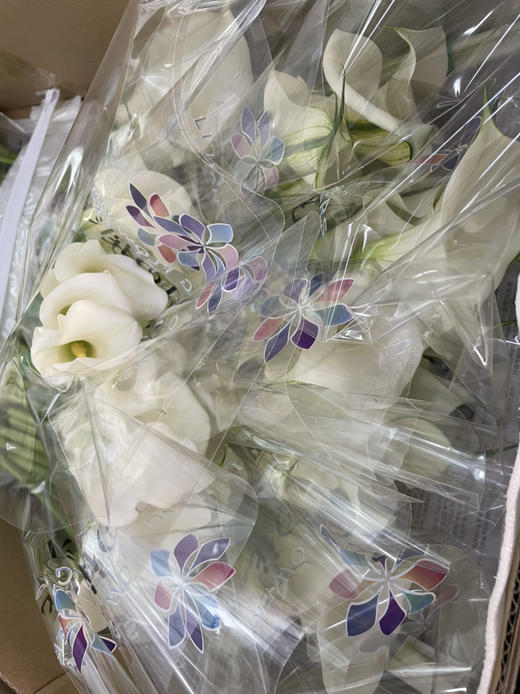 【马蹄莲】国产 （范图拉）白色 5枝/扎 商品图8