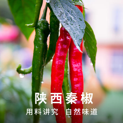 仲景 成都红油 辣椒油 四川油泼辣子 220g/瓶 商品图4