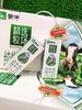 蒙牛精选牧场纯牛奶一箱 商品缩略图0