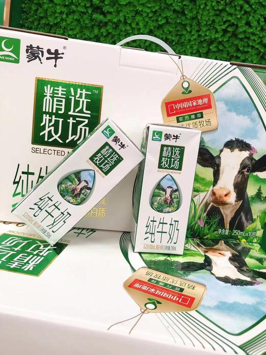 蒙牛精选牧场纯牛奶一箱 商品图0