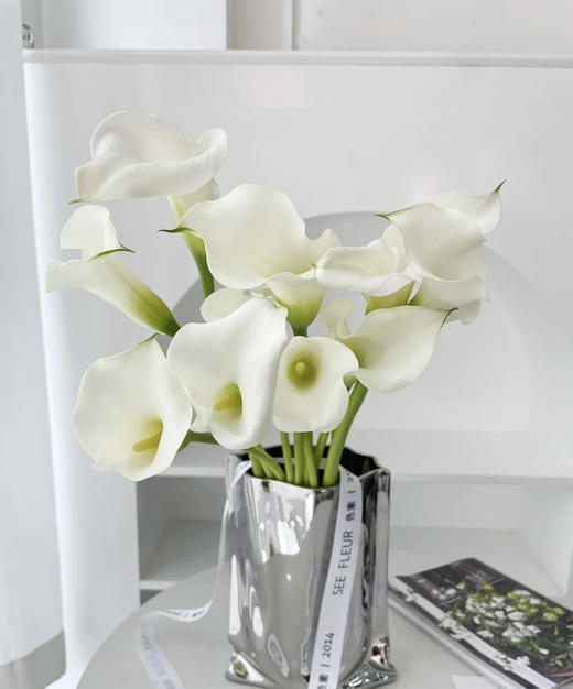 【马蹄莲】国产 （范图拉）白色 5枝/扎 商品图1