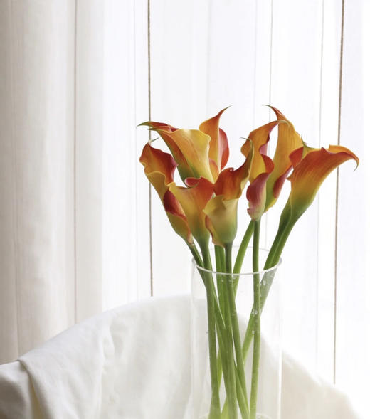 【马蹄莲】国产  （刀锋）橙色  5枝/扎 商品图0