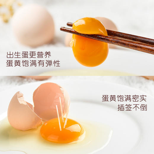 康之源农场 散养土鸡蛋 营养新鲜 生态自然 （限北京） 商品图4