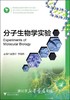 分子生物学实验(高等院校实验实训系列规划教材)/吴建祥/李桂新/浙江大学出版社 商品缩略图0