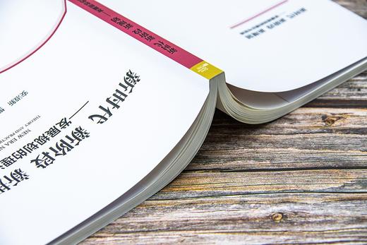 (仓发) 新时代 新阶段 新规划：发展规划的理论与实践/中国市场出版社/安淑新，樊文时/9787509221150 商品图6