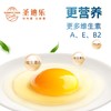【3盒周期购】圣迪乐可生食新鲜鸡蛋30枚/盒，单盒低至59.7元 商品缩略图4