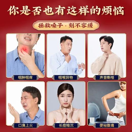 【拍2送1】北京同仁堂内廷上用胖大海雪梨枇杷茶大麦菊花三角包养生茶 商品图2