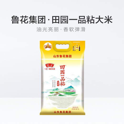 鲁花田园一品粘大米5kg 商品图2