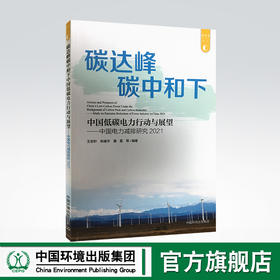 中国电力减排研究2021:碳达峰碳中和下中国低碳电力行动与展望