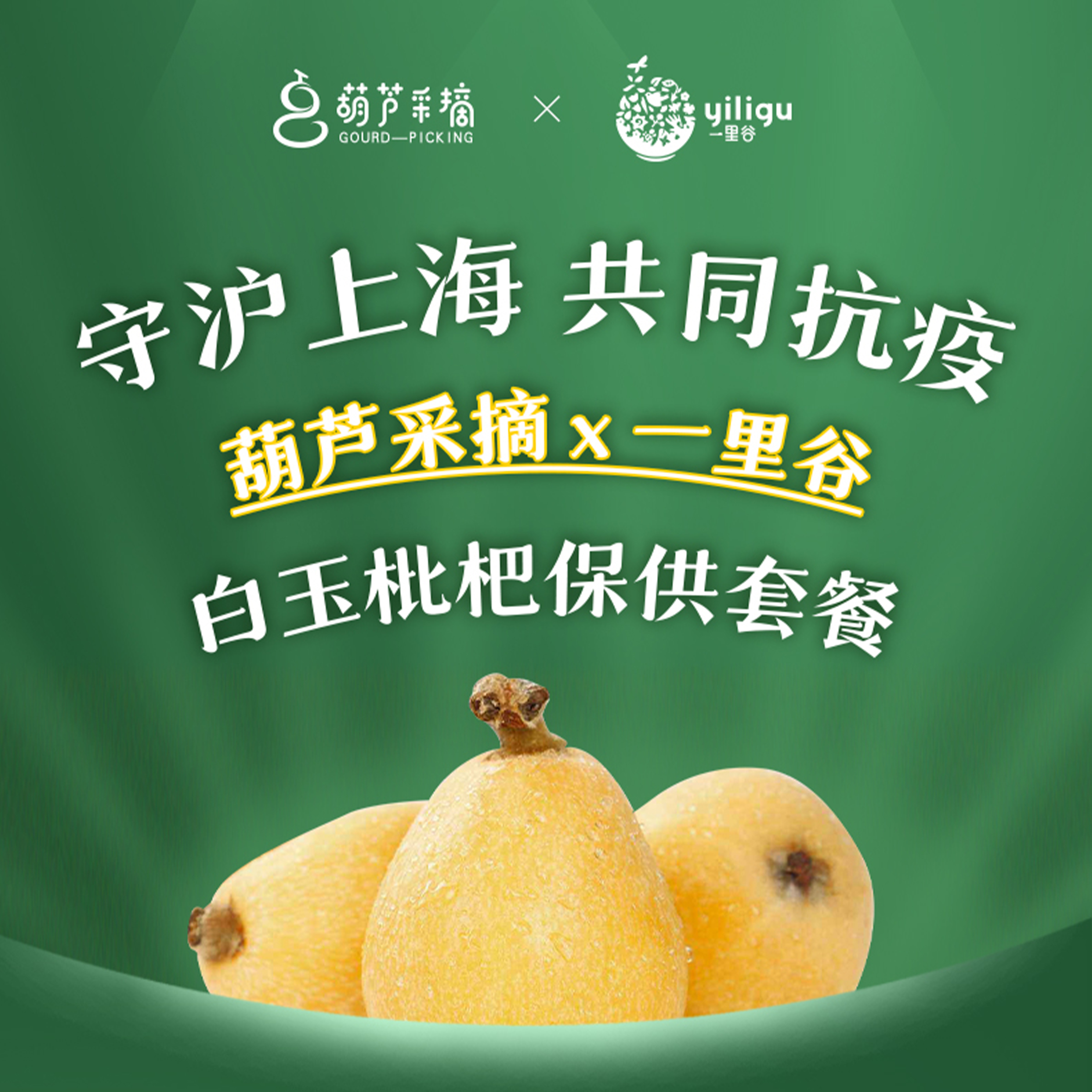 【枇哩杷杷白玉枇杷】S级75元起/份，30份起送