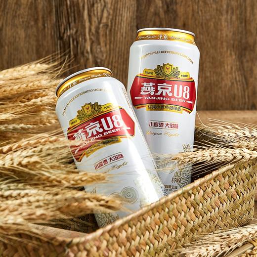㊙️限量福利：燕京啤酒U8小度酒 500ml*18听 商品图2