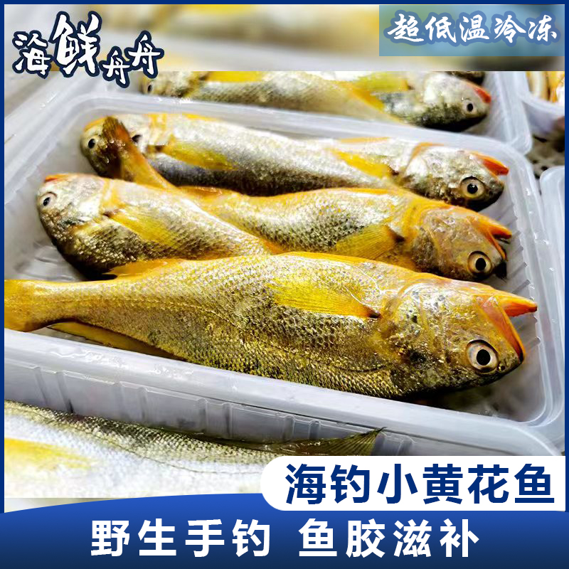 【野生】超低温 正宗海钓小黄花鱼 400g/4-6条