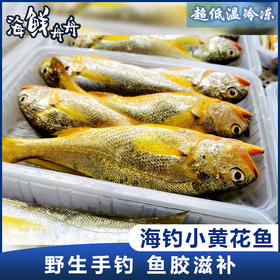 【野生】超低温 正宗海钓小黄花鱼 400g/4-6条
