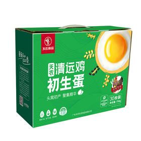 清远鸡初生蛋30枚/箱 清远鸡头窝蛋