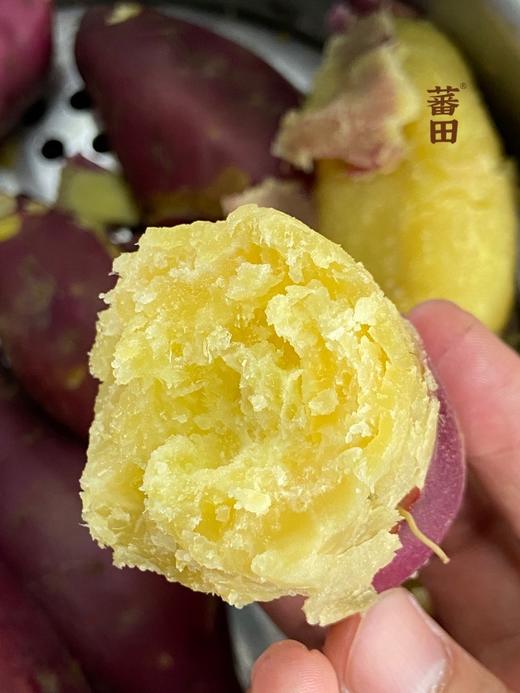 【快递包邮产地直发】桥头地瓜 商品图6