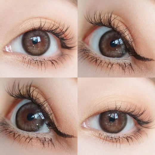 日抛lillilly LL22芝芝茶黑 14.2mm  10片 含硅水凝胶 日抛无售后 商品图0