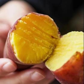 【天目山小香薯5斤】 香薯  粉糯绵密 不噎人 甜到心窝里