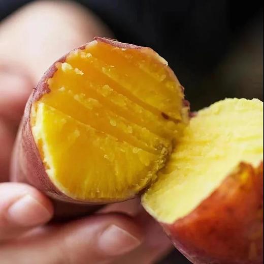 【天目山小香薯5斤】 香薯  粉糯绵密 不噎人 甜到心窝里 商品图0