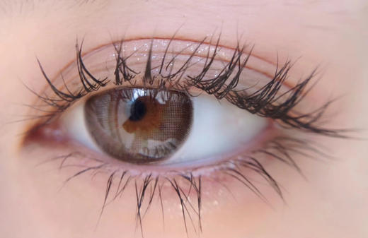 日抛lillilly LL22芝芝茶黑 14.2mm  10片 含硅水凝胶 日抛无售后 商品图6