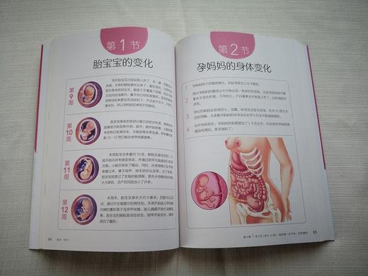 (仓发) 备孕·怀孕（马良坤科学孕产育儿）/青岛出版社/马良坤/9787555296546 商品图2