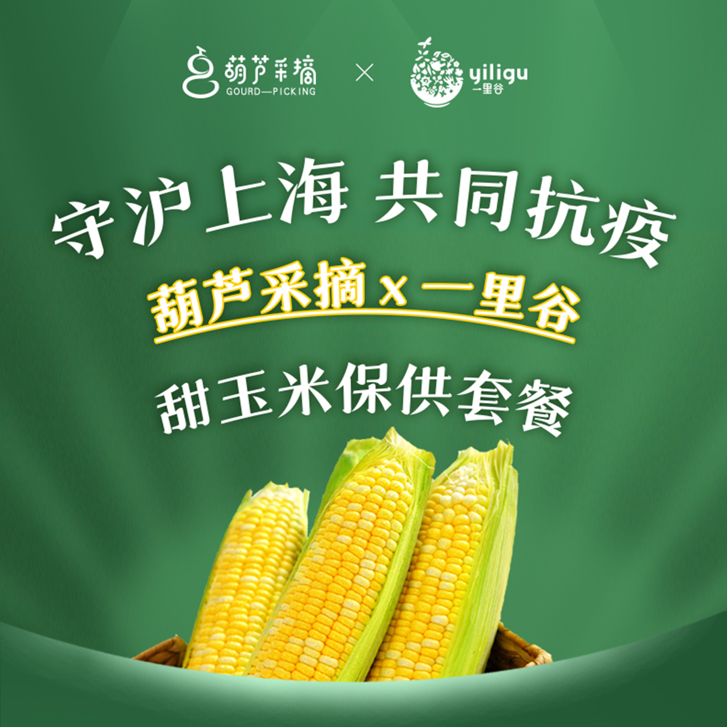 【精品甜玉米】56元/份，带叶约5斤装（6根左右，以斤数为准）