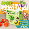 【一起种植吧，激发孩子探索自然科学的奥秘】 儿童植物观察窗种子盒 种植阳光房玩具儿童节礼物 商品缩略图5