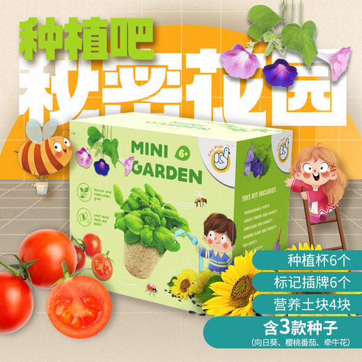 【一起种植吧，激发孩子探索自然科学的奥秘】 儿童植物观察窗种子盒 种植阳光房玩具儿童节礼物 商品图5