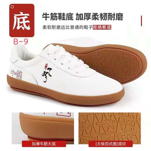 太极鞋帆布女夏季透气武术鞋练功鞋男中国风太极鞋 商品图1