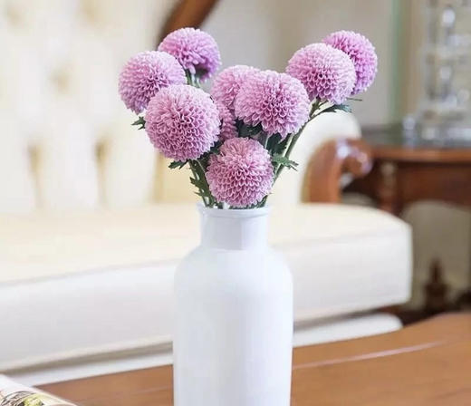 【乒乓菊】粉色  约10枝/扎 商品图5