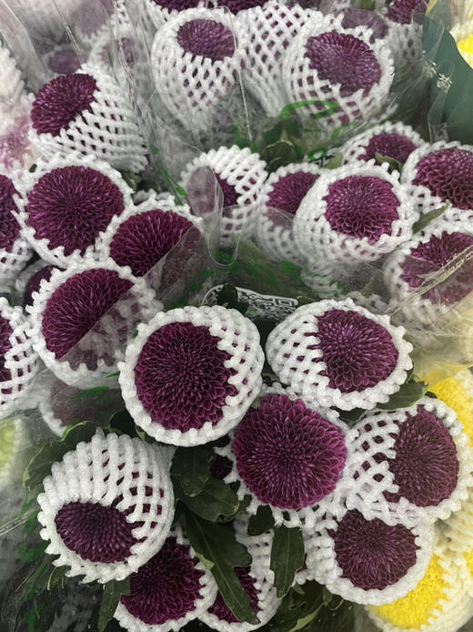 【乒乓菊】紫色 约10枝/扎 商品图6