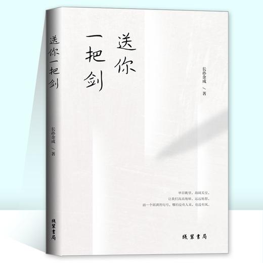 (仓发) 送你一把剑/线装书局/长孙金成/9787512047273 商品图0