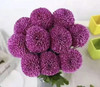 【乒乓菊】紫色 约10枝/扎 商品缩略图3