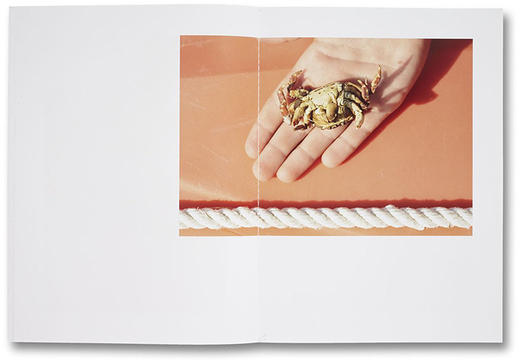 【预订】Roe Ethridge：Shelter Island | 谢尔特岛 摄影集 商品图5