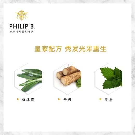 PHILIPB皇家琥珀洗发露355ml/瓶 商品图1