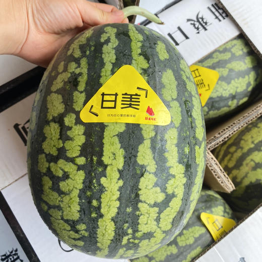 甘美甜爆4K西瓜 商品图13