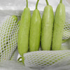 山东海阳白玉黄瓜、清脆爽口、脆嫩新鲜 商品缩略图2