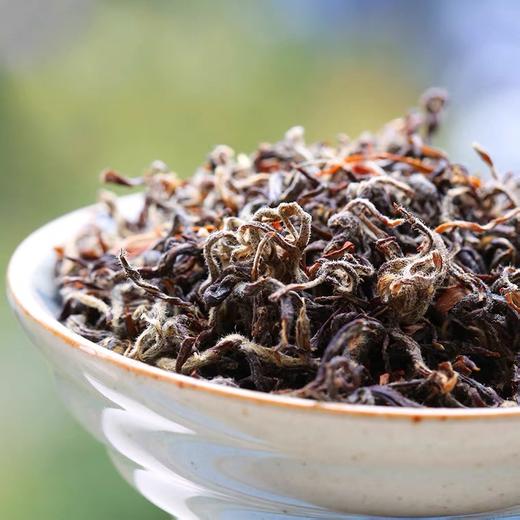 重庆巫溪老鹰茶市级非遗百年古树茶代茶清凉解渴茶饮200g